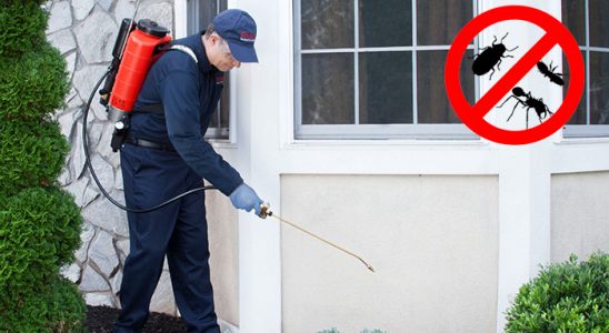 Pınarbaşı Karınca İlaçlama böcek ilaçlama ve haşere kontrolü — ilaclama-tr.com